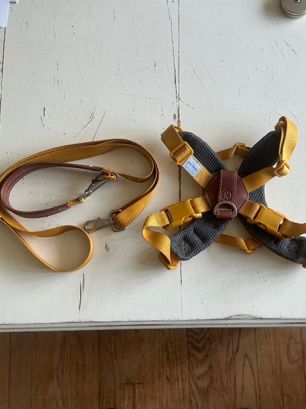 SPUTNIK Mustard Yellow harness & matching leash Medium 17-39lbs